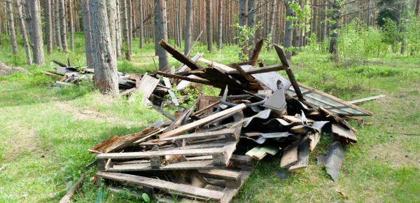 Debris Removal Service in Seattle