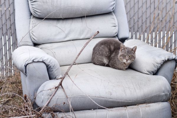 Recliner Disposal in Seattle