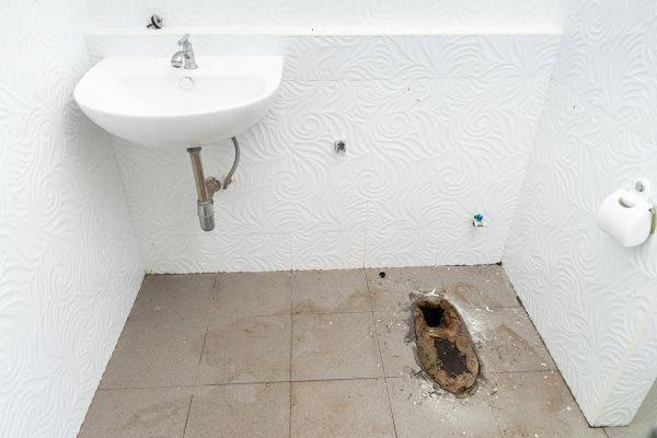 Toilet Disposal in Seattle