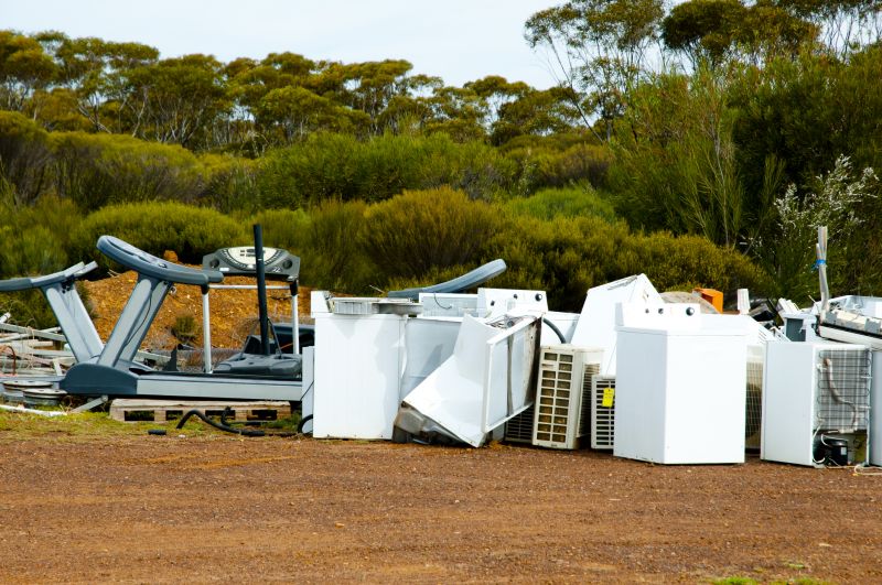 Treadmill Removal Service detail